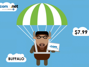 Đăng ký tên miền .COM, .NET giá 7.99$ tại Name.com