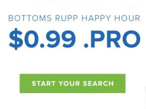 [Flash Sale] Tên miền .PRO chỉ 0.99$ tại Name.com