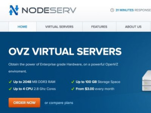 NodeServ – OpenVZ VPS 512MB RAM/100GB HDD giá chỉ 13$/năm