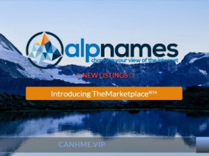 Đăng ký tên miền .VIP chỉ 5.69$, không giới hạn số lượng