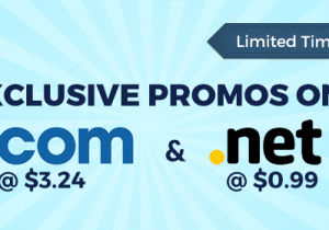 Whois.com giảm giá sốc tên miền .NET chỉ 0.99$