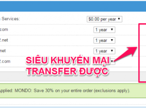 Bộ 3 huyền thoại bất ngờ khuyến mại, tên miền .COM và .NET chỉ 1.39$ – TRANSFER ĐƯỢC