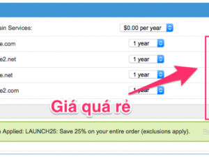 Giảm giá sốc, tên miền .COM còn 1.49$, .NET còn 0.74$, Transfer được