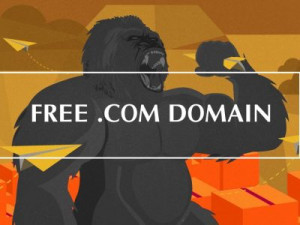 Tên miền .COM miễn phí từ Namecheap